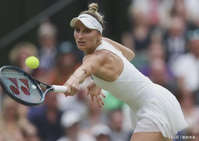 比赛的亮点 比赛的亮点