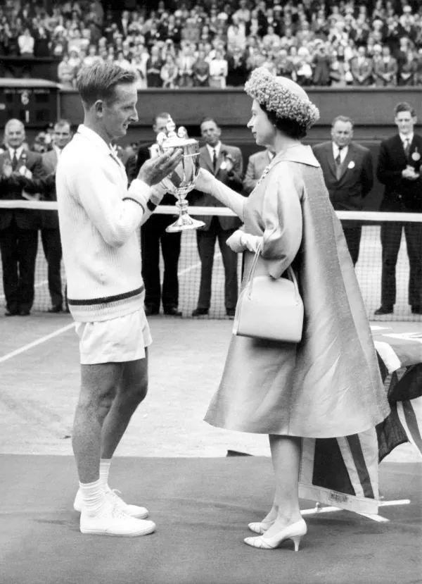 的反馈显得 的反馈显得